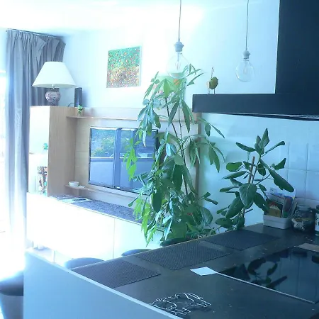 Centre 13 Quai Godefroid Kurth Pour 2 Pers A 25 Min Gare Guillemins 리에주