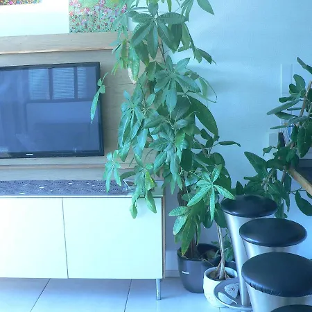 Centre 13 Quai Godefroid Kurth Pour 2 Pers A 25 Min Gare Guillemins