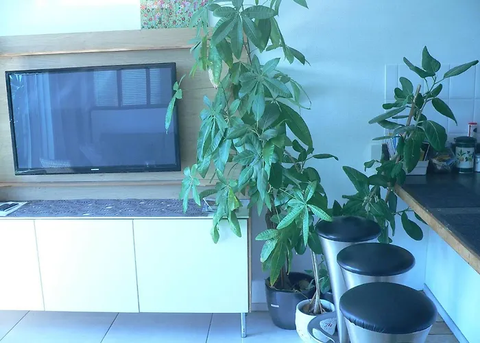 Centre 13 Quai Godefroid Kurth Pour 2 Pers A 25 Min Gare Guillemins