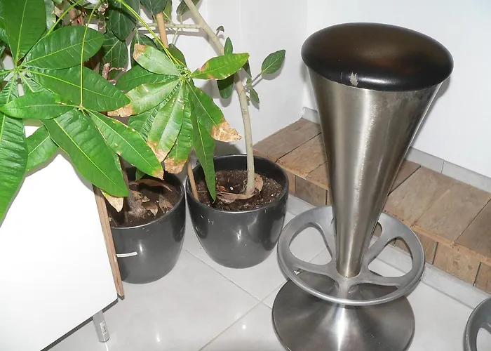 Centre 13 Quai Godefroid Kurth Pour 2 Pers A 25 Min Gare Guillemins Liège